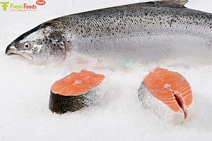 LÀM SAO ĐỂ NHẬN BIẾT CÁ HỒI NGON ĐÚNG CHUẨN?