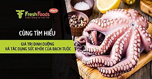 Giá trị dinh dưỡng và tác dụng sức khỏe của bạch tuộc