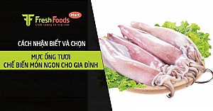 Cách nhận biết và chọn mực ống tươi, chế biến món ngon cho gia đình