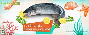 Tuyệt chiêu chọn mua cá hồi tươi ngon đúng chuẩn