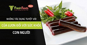 Những tác dụng tuyệt vời của lươn đối với sức khỏe con người