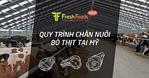 Quy trình chăn nuôi bò thịt tại Mỹ