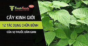 Cây kinh giới: 12 tác dụng chữa bệnh hay của vị thuốc dân gian