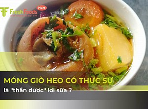 Móng Giò Heo và Quan Niệm Lợi Sữa: Góc Nhìn Đa Chiều