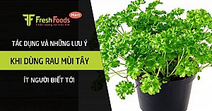 Tác dụng và những lưu ý khi dùng rau mùi tây ít người biết tới