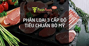 Phân loại 3 cấp độ Tiêu chuẩn bò Mỹ